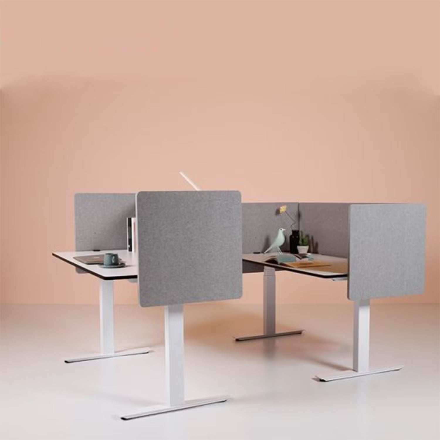 FocusDesk Pro Binnenkort beschikbaar